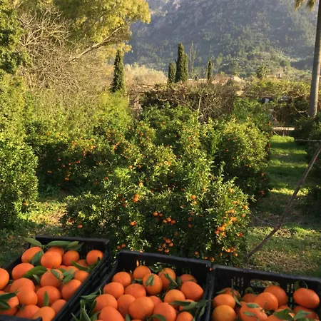 Cas Sant Alloggio per agriturismo *